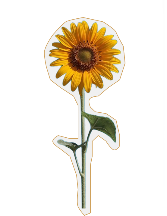 Sunflower Icon